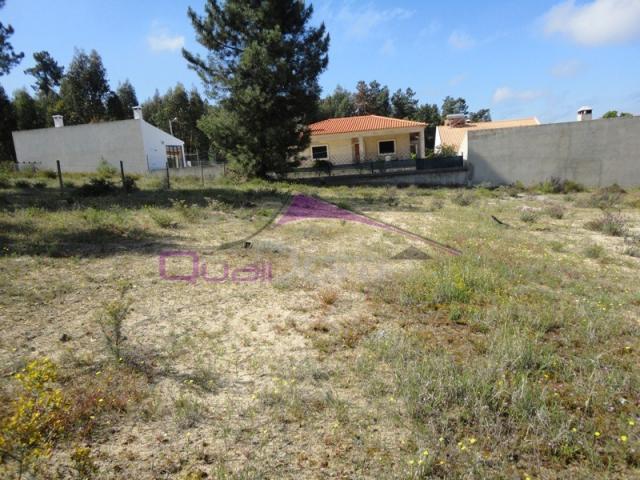 Terreno venda em Chamusca e Pinheiro Grande, Chamusca