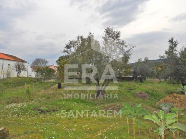 Terreno venda em Chamusca