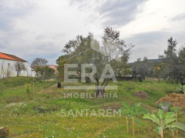 Terreno venda em Chamusca, Santarém