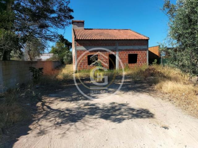 Terreno venda em Chamusca
