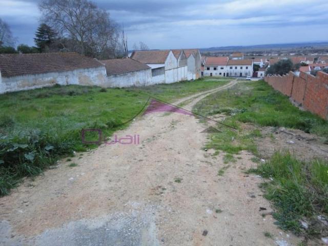 Terreno venda em Chamusca