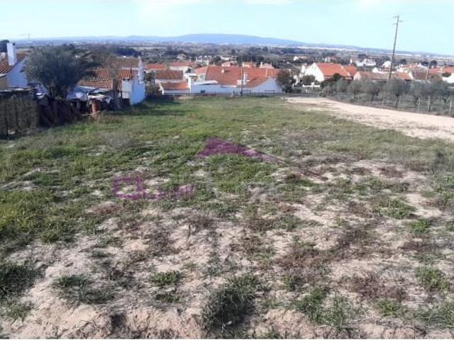 Terreno venda em Chamusca