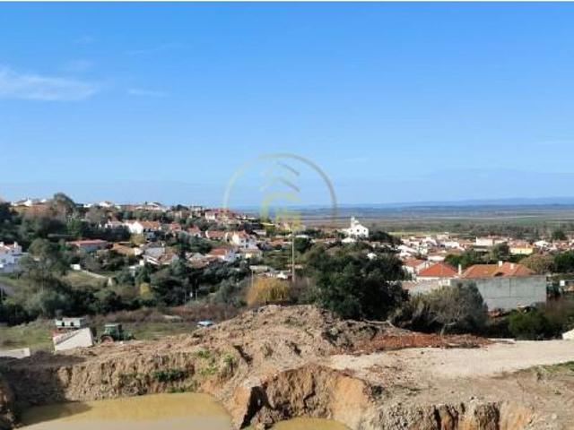 Terreno venda em Chamusca e Pinheiro Grande, Chamusca