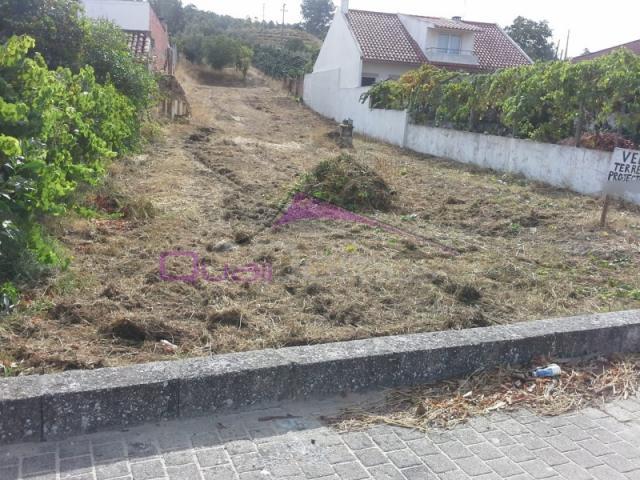 Terreno venda em Chamusca
