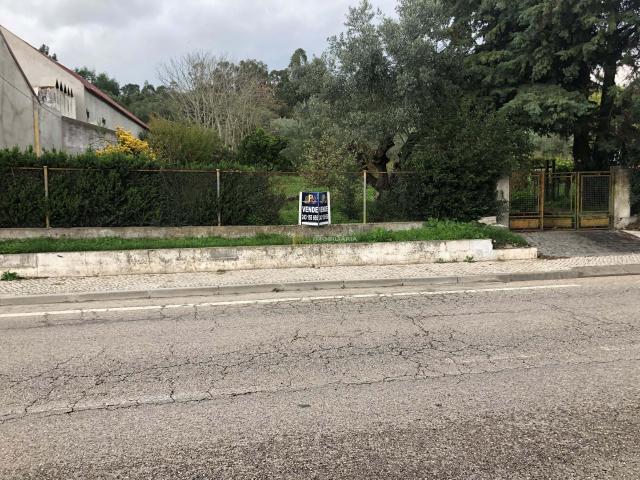 Terreno venda em Chamusca