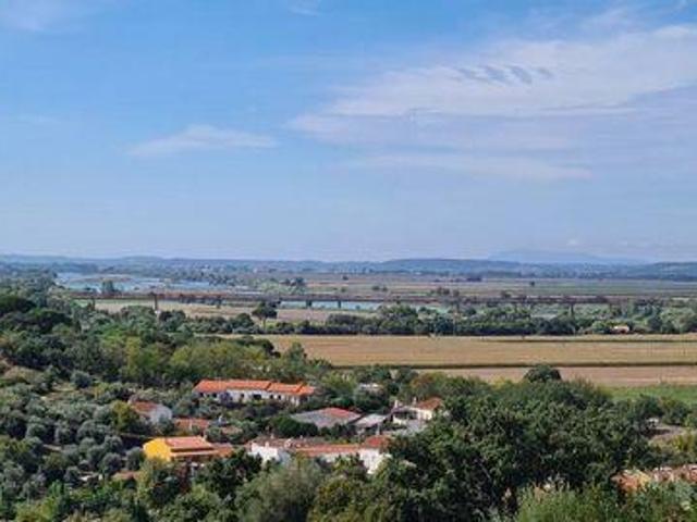 Terreno venda em Chamusca e Pinheiro Grande, Chamusca