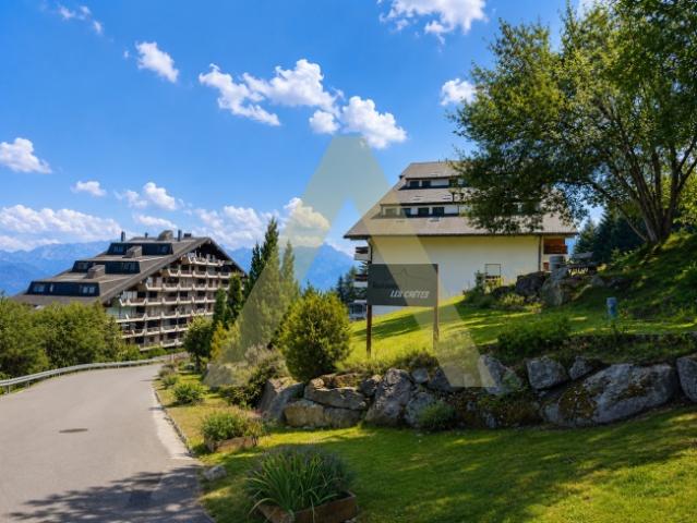 Wohnung kaufen in Vionnaz, Wallis