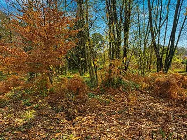 Terrain vente à Périgueux, Chancelade