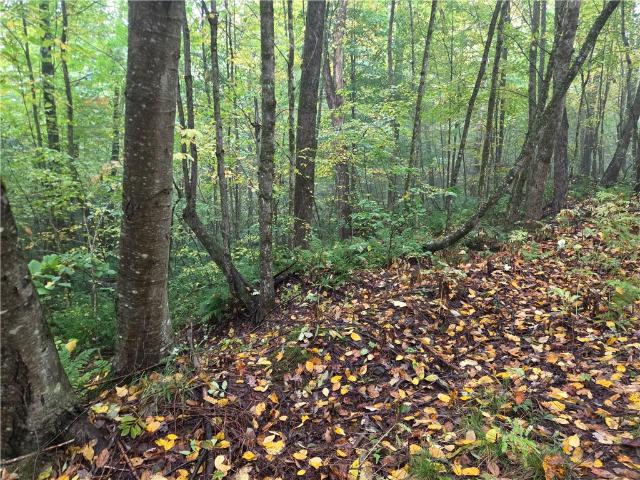Land for sale in Town of Laurens, Town of Otego