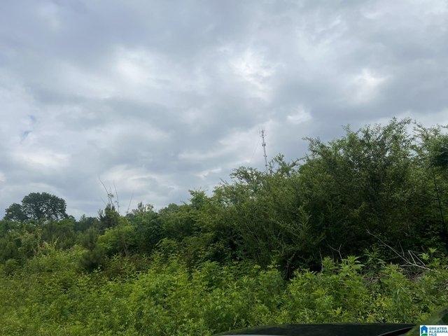 Land for sale in Steele, Alabama
