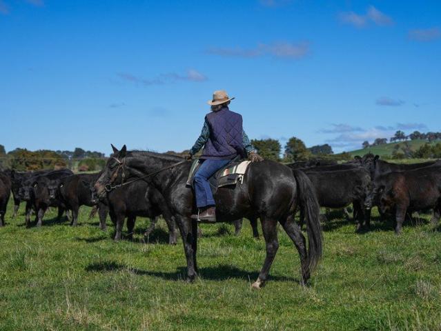 Property for sale in Mandurama, New South Wales