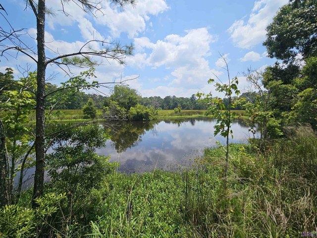 Land for sale in Zachary, East Baton Rouge Parish