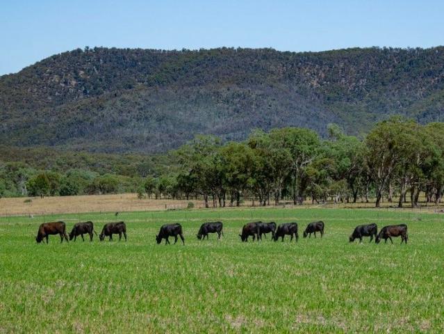 Cottage for sale in Mole River, New South Wales