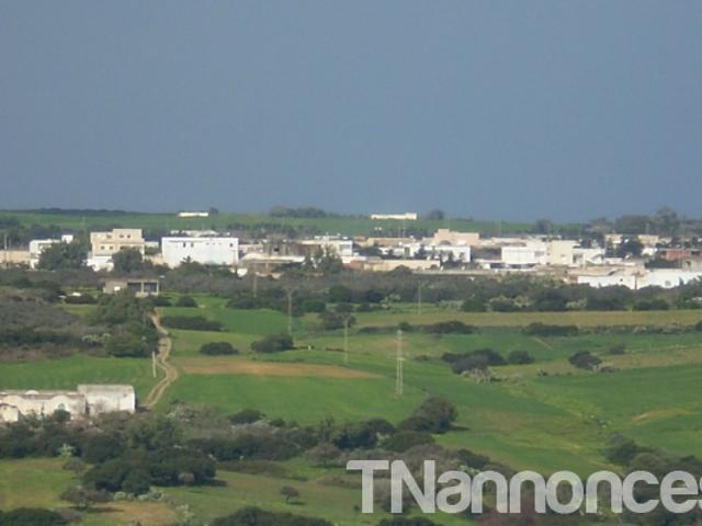Terrain vente