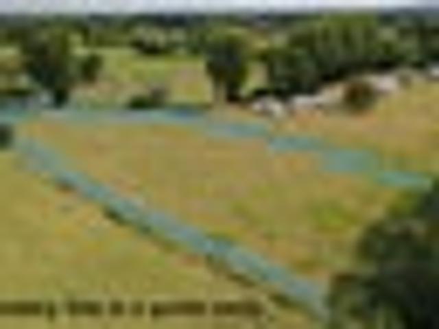 Land for sale in Gordonton, Waikato