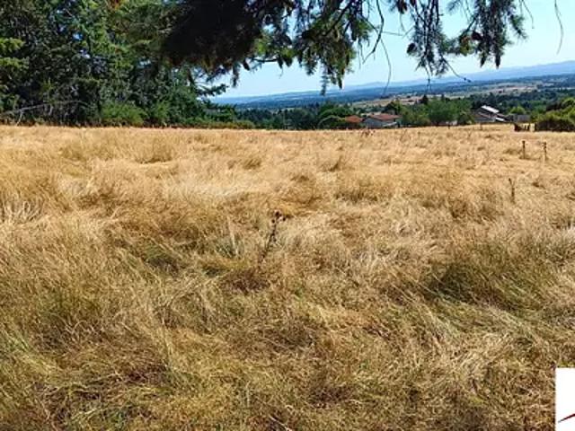 Terrain vente à Roanne, Saint-haon-le-châtel