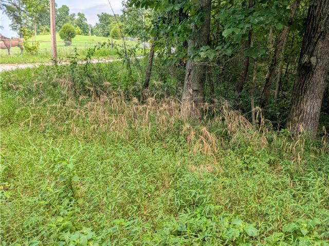 Land for sale in Leavenworth, Indiana