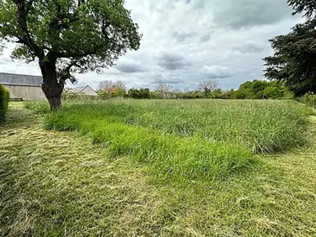 Terrain vente à Chinon, Channay-sur-lathan