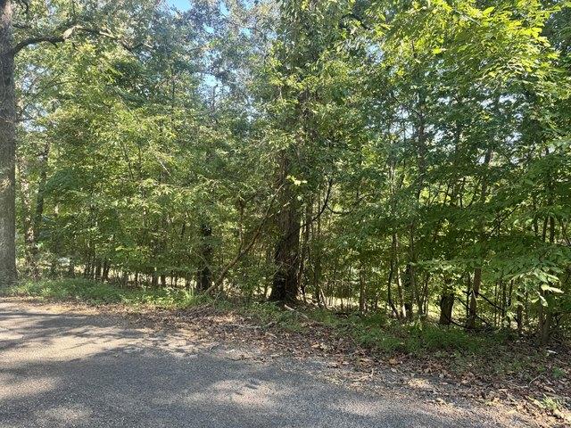 Land for sale in Murray, Calloway County