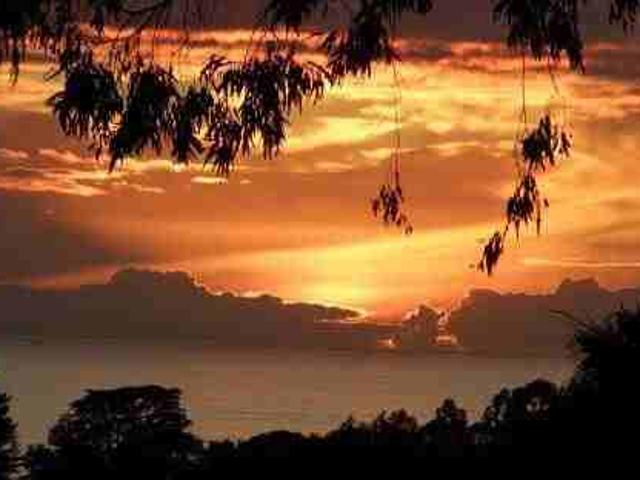 Apartment for rent in The Mesa, Santa Barbara