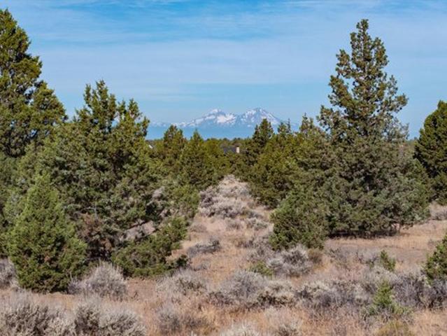 Land for sale in Oregonia