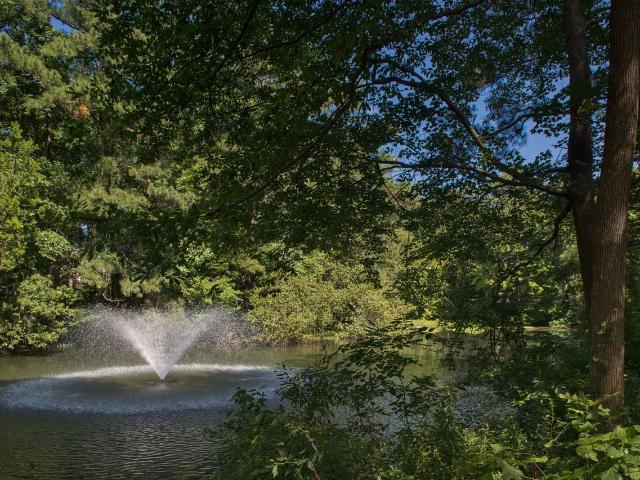Apartment for rent in Virginia