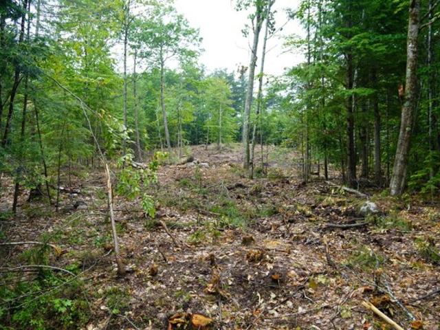 Land for sale in Harrison, Maine