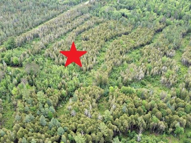Land for sale in Niagara, Wisconsin