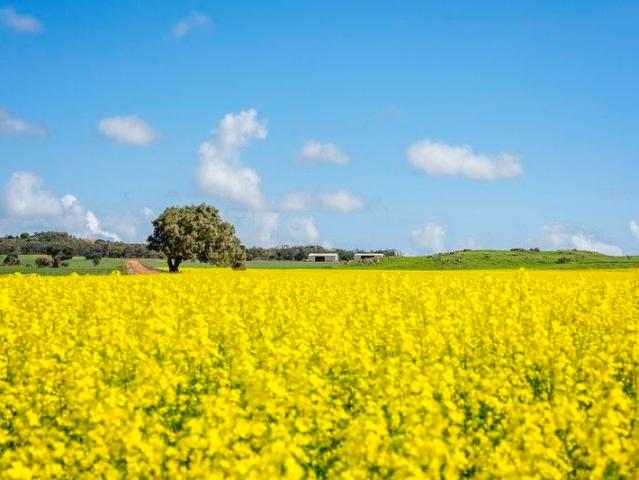 Cottage for sale in Hickety, Western Australia