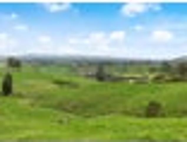 Land for sale in Waikato