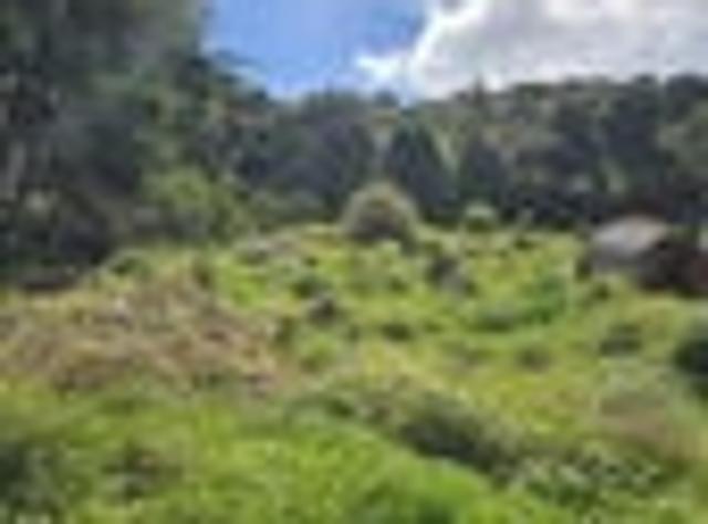 House for sale in Oban, Stewart Island / Rakiura Community