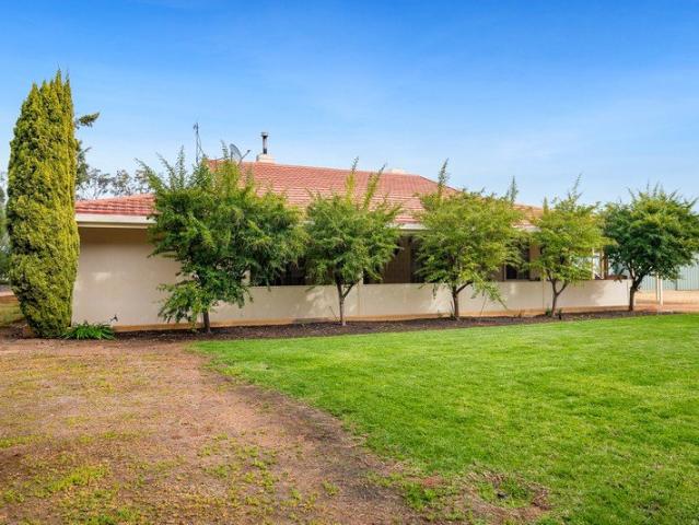 House for sale in Berri, The Berri Barmera Council