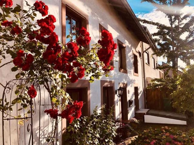 Haus kaufen in Wallerfangen