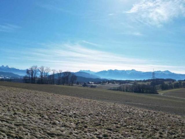 Haus kaufen in Servion, Waadt