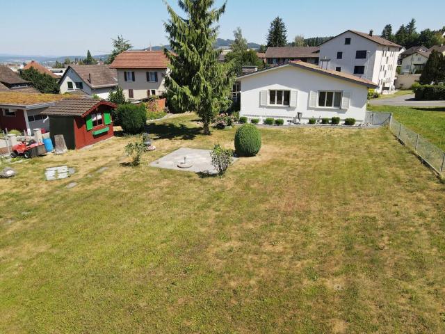 Einfamilienhaus kaufen in Burg AG, Menziken