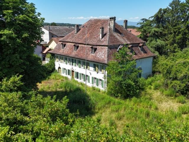 Einfamilienhaus kaufen in Yvonand, Waadt
