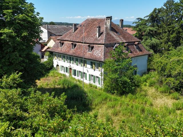 Haus kaufen in Chavornay, Waadt
