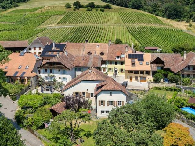Haus kaufen in Bonvillars, Waadt