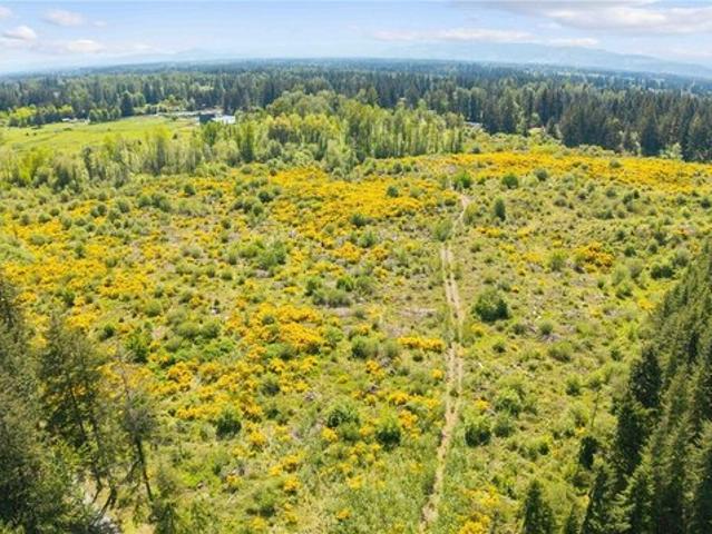 Land for sale in Thurston, Washington