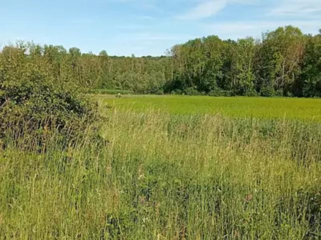 Terrain vente à Auxerre, Charbuy