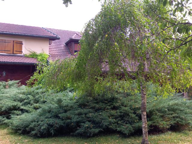 Maison vente à Lons-le-Saunier, Charcier