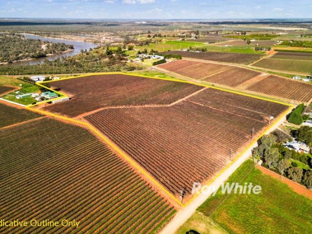Land for sale in Red Cliffs, Victoria