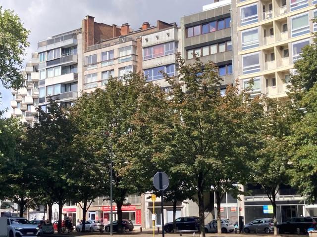 Appartement location à Charleroi, Wallonie