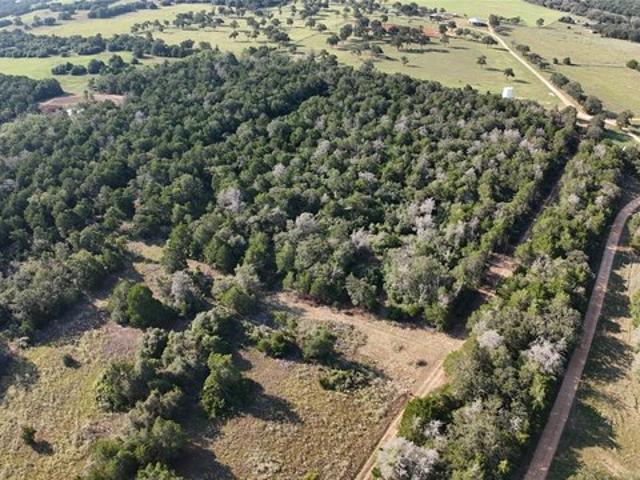 Land for sale in Rosanky, Bastrop County