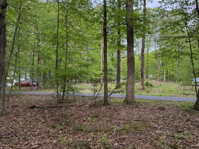 Land for sale in Bartonsville Land for sale in Bartonsville