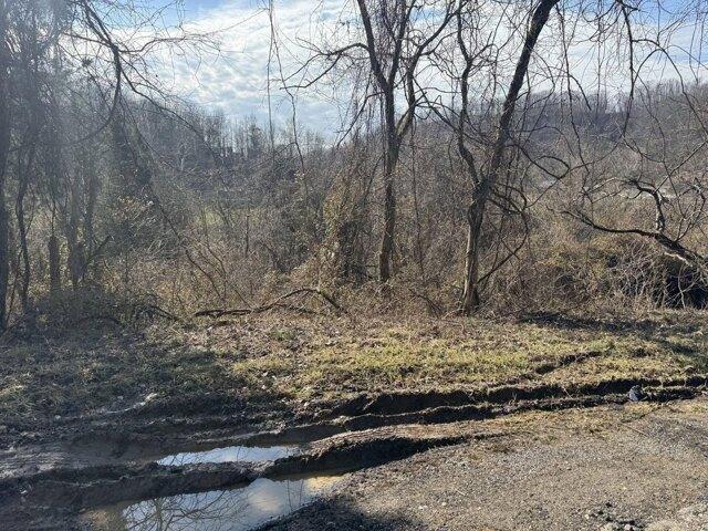 Land for sale in Charleston, West Virginia