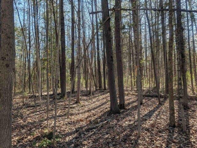 Land for sale in New Hampshire