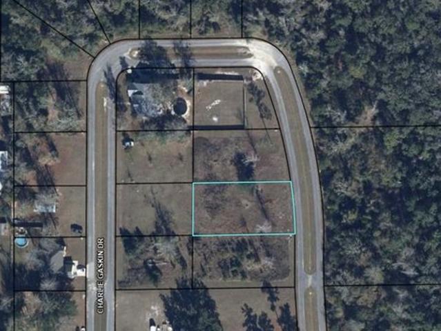 Land for sale in Gulf, Florida