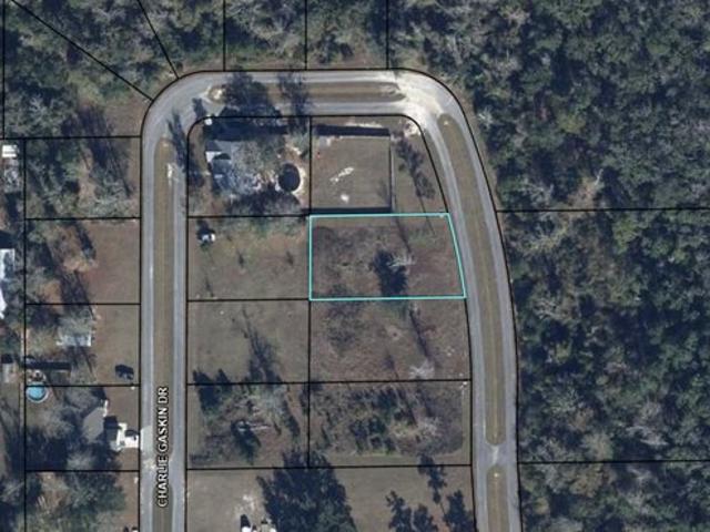 Land for sale in Gulf, Florida