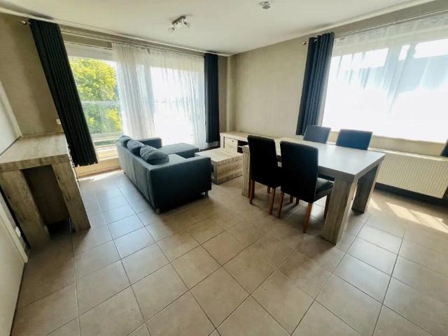 Appartement location à Tienen, Brabant